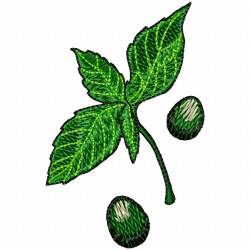 Plants Embroidery Design 2 Plants Embroidery Design 2
